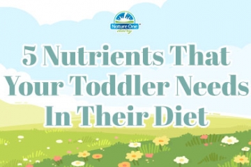 5 Nutrients That Your Toddler Needs In Their Diet